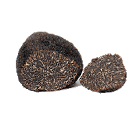 ManjaresdelaTierra gourmet gastronomy truffle trufa Sticker
