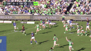 Nrl GIF by Canberra Raiders