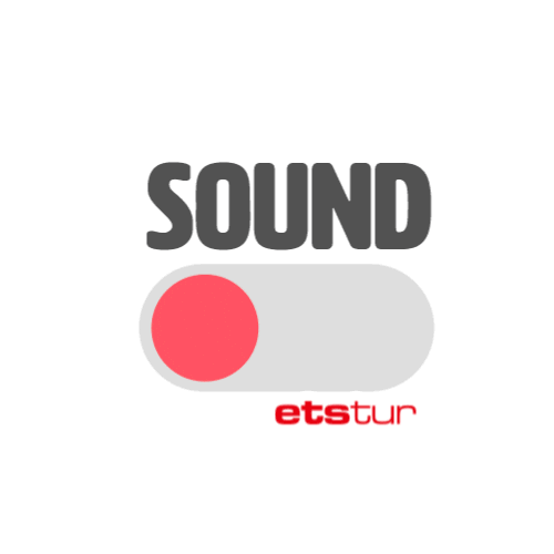 Summer Sun Sticker by Etstur