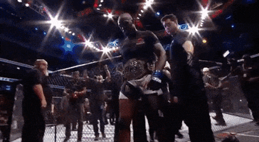 ufc 214 GIF