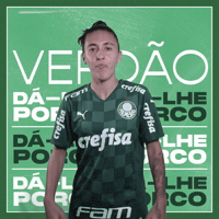 Futebol Feminino GIF by SE Palmeiras
