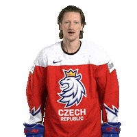 Celebration Hockey Sticker by Národní tým