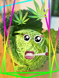 Smoke Cabbage GIF