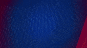 Germany Football GIF by Holstein Kiel