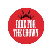 Horse Saddle Sticker by Best Ever Pads
