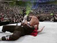 mick foley wrestling GIF by WWE