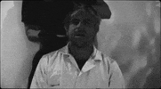 Haircut GIF by Circa Survive