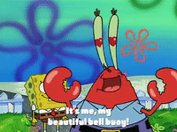 season 2 GIF by SpongeBob SquarePants