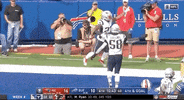 New England Patriots Football GIF by NFL