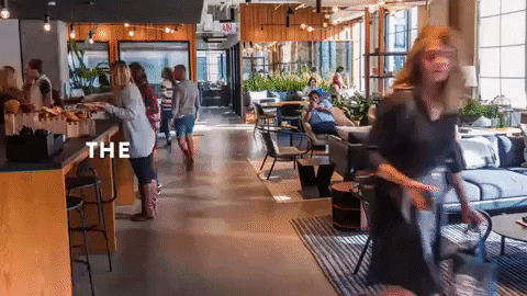 FindSpark giphygifmaker GIF