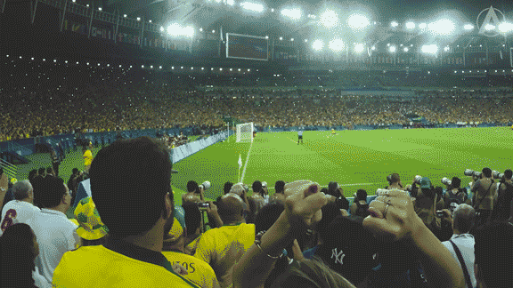brazil gold GIF