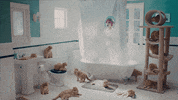 Now That I Found You Cat GIF by Carly Rae Jepsen