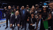 Knockout Fighting GIF by MolaTV