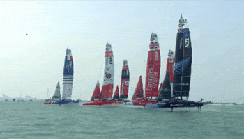 Racing GIF by SailGP