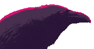 RaulAllen bird creepy crow enola Sticker