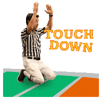 Football Touchdown Sticker by Puppy Bowl