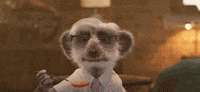 Carl Falling GIF by Compare the Market