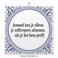 Wijsheid Reflectie Sticker by Tegelspreuken.nl