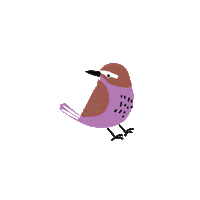Flower Bird Sticker by Teaspoon studio