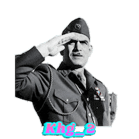 Salute Sticker