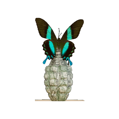 ARTTODISARM giphygifmaker art butterfly bran Sticker