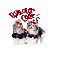 Didi Follow Us Sticker by Honey Boo Designs