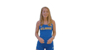 BlueHens lol ncaa point idk Sticker