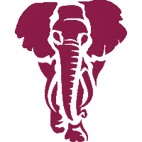 Rulanation Sticker by Amarula
