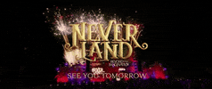 see you tomorrow fireworks GIF