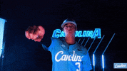 North Carolina Baseball GIF by UNC Tar Heels