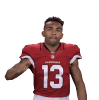 Arizona Cardinals Stickers Sticker by NFL