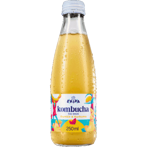 Kombucha Croatia Sticker by ekipa.hr