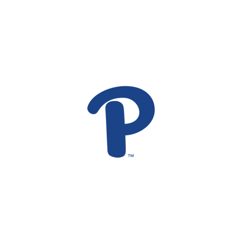 University Of Pittsburgh Love Sticker by Pitt Panthers