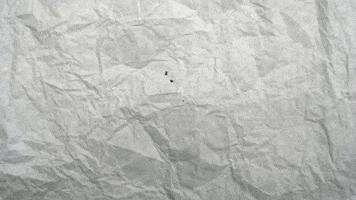 Womens Lacrosse Dragons GIF