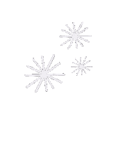 Risaarenee design simple white flower fire works Sticker