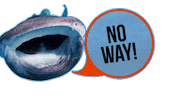 No Way Sticker by OCEANREEF