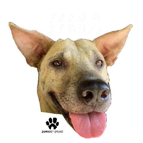 Happy Dog Sticker by Pawssion Project Foundation Inc.
