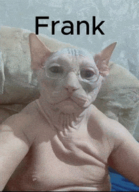 Cat Victor GIF