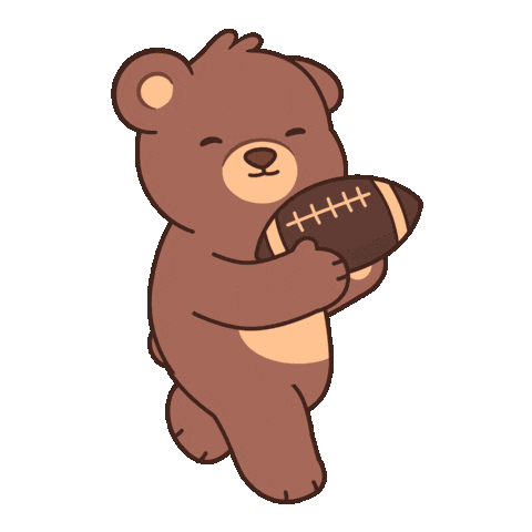 Super Bowl Win Sticker by BEARISH