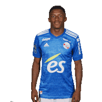 rcsa celebration racing 17 ligue1 Sticker