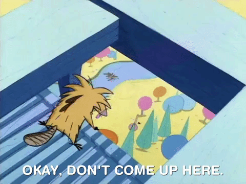 nicksplat angry beaver GIF