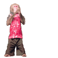 Fun Monkey Sticker