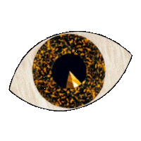 Art Eyes Sticker by Etnia Barcelona
