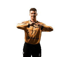 Celebration Handball Sticker by USDK