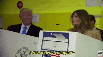 Voting Donald Trump GIF by Election 2016