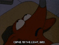 Season 3 Dog GIF by The Simpsons