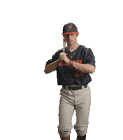 Wcsubaseball Sticker by WCSU