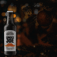 Santa Claus Fun GIF by Migaloo
