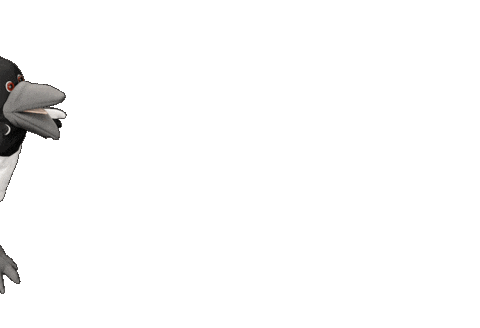 Maggiemagpie Sticker by Steve and Maggie