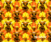 Carnaval Rio GIF by Sony Xperia FR